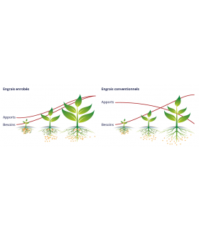 Engrais - fertilisation jeunes plants