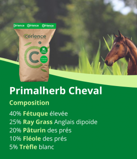 Mélange de semences de prairie pour chevaux