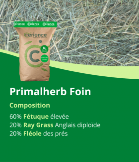 mélange de semences de prairie pour foin