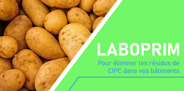 LABOPRIM : éliminer les résidus de CIPC dans vos bâtiments