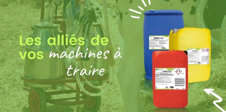 Détartrant acide et alcalin chloré: Le duo top pour votre production laitière