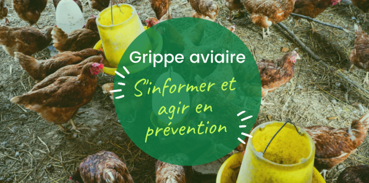 Prévention grippe aviaire : Nettoyage et desinfection en exploitation