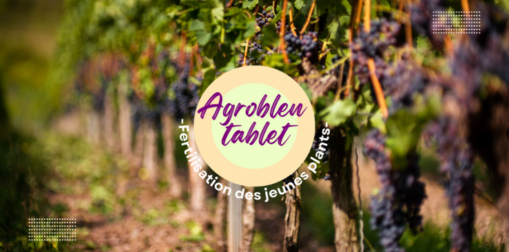 La fertilisation des jeunes plants avec AGROBLEN TABLET