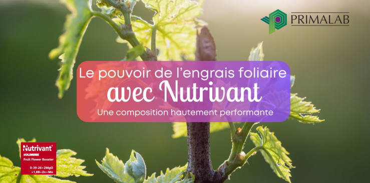 L'engrais foliaire Nutrivant, hautement performant